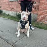 Shawn Bynum - @the_real_bolo - Instagram