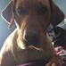 Shawn Byrnes - Facebook