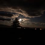Shawn Camp - Facebook