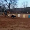 Shawn - @shawn.tdrbootcamp101 - TikTok
