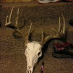 shawn carson - @shawn51467 - Instagram