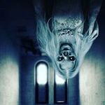 Shawn Carson - @shawn.carson.16752 - Instagram