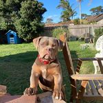 Shane Chalmers - @shane.chalmers - Instagram