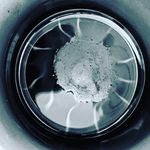 Shawn Chartrand - @smchartrand3 - Instagram
