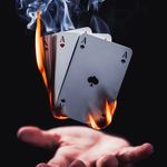 Shawn Chartrand - @chartrand_shawn - Instagram