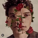 Shawn Mendes - @rosy_cheeks_shawn - Instagram