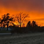 Shane Michael Cheever - @cheevershane - Instagram