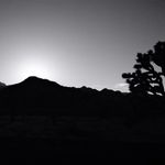 Shawn Choi - @fujifanatic - Instagram