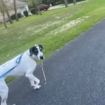 Shawn Claypool - @claypool_shawn - Instagram