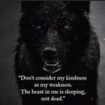 Shawn Coenen - @shawncoenen - Instagram