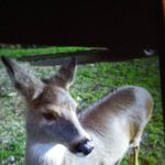 Shawn Combs - @shawncombs677 - Instagram