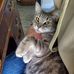 Shawn Comstock - Facebook