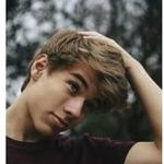 Shawn - @shawn_corbeille - Instagram
