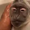 coryshawn0 - @coryshawn0 - TikTok
