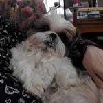 Shawn Coyle McFall - @smc195540 - Instagram