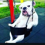 shawn crouch - @shawn.crouch36 - Instagram