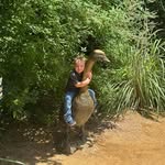 Shawn Crouch - @shawn.crouch.7 - Instagram