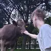 shawncrow292 - @shawncrow292 - TikTok
