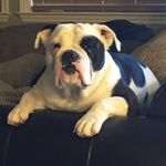 Shawn.crow@yahoo.com - @shawn.crowyahoo.com1217 - Instagram