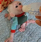 Shawn Czech - Facebook