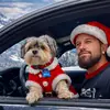 Shawn Hallgren - @shawnhallgren - TikTok