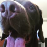 Shawn Dail - @sdail20 - Instagram