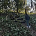 Shawn Dally - @shawndallas420 - Instagram