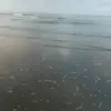 shawn dan - @shawn.dan1 - TikTok