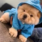 shawndanker - @s_danker_2728 - Instagram
