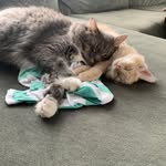 Shawn Decker - @shawngdecker - Instagram