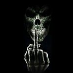Shawn Dell - @shawndrocks - Instagram