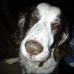 Shawn DeMars - Facebook