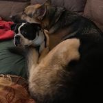 Shawn Demars - @shawndemars - Instagram
