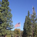 Shawn Denham - @shawndoggie - Instagram