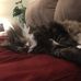 Shawn Deutsch - Facebook