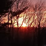 Shawn DeWitt - @dewitt.shawn - Instagram