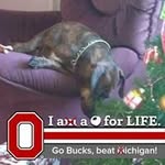 Shawn Dewitt Newton - @shawndewittnewton - Instagram