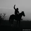 shawn destefano - @shawn.destefano - TikTok