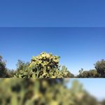 Shawn - @_shawn_dodd__v8oy._ - Instagram