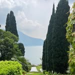Shawn Dodd - @shawn_dodd - Instagram