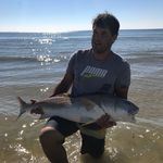 Shawn Dodson - @bronco_shawn - Instagram