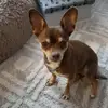 Shawn Dohey - @shawndohey - TikTok