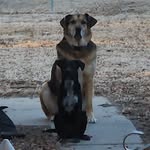 Shawn Dolan - @shawn.dolan.86 - Instagram