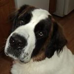 Shawn Dube - @dube.shawn - Instagram