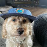 Shawn Dubé - @_seeeaaan_ - Instagram
