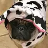 shawn dunlap - @shawn.dunlap4 - TikTok