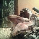 Shawn Durham - @durhamshawn20 - Instagram