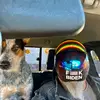 shawnearles420 - @shawnearles420 - TikTok