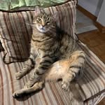Shawn Ellsworth - @shawnellsworth1969 - Instagram