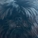 Shawn Ellsworth - @shawnellsworth7 - Instagram